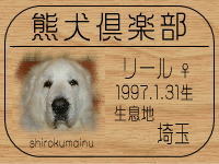 �I�[�i�[�́A�p�e�B�[����ł���